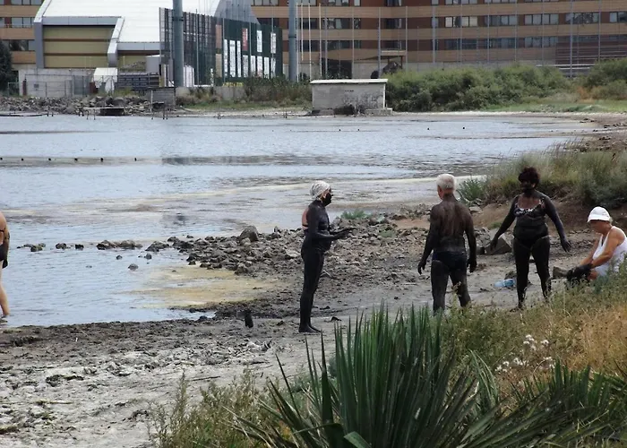 радина * ポモリエ