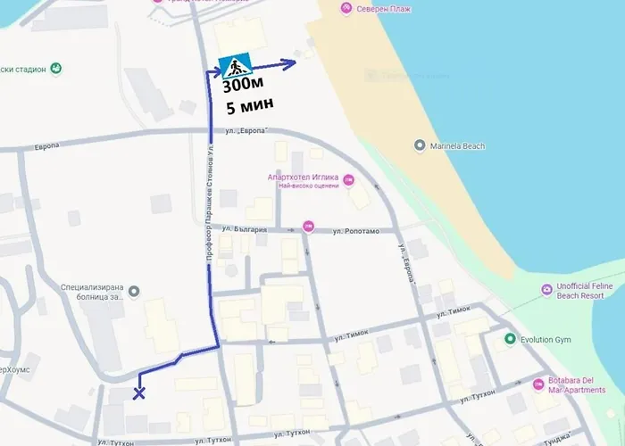 радина * ポモリエ